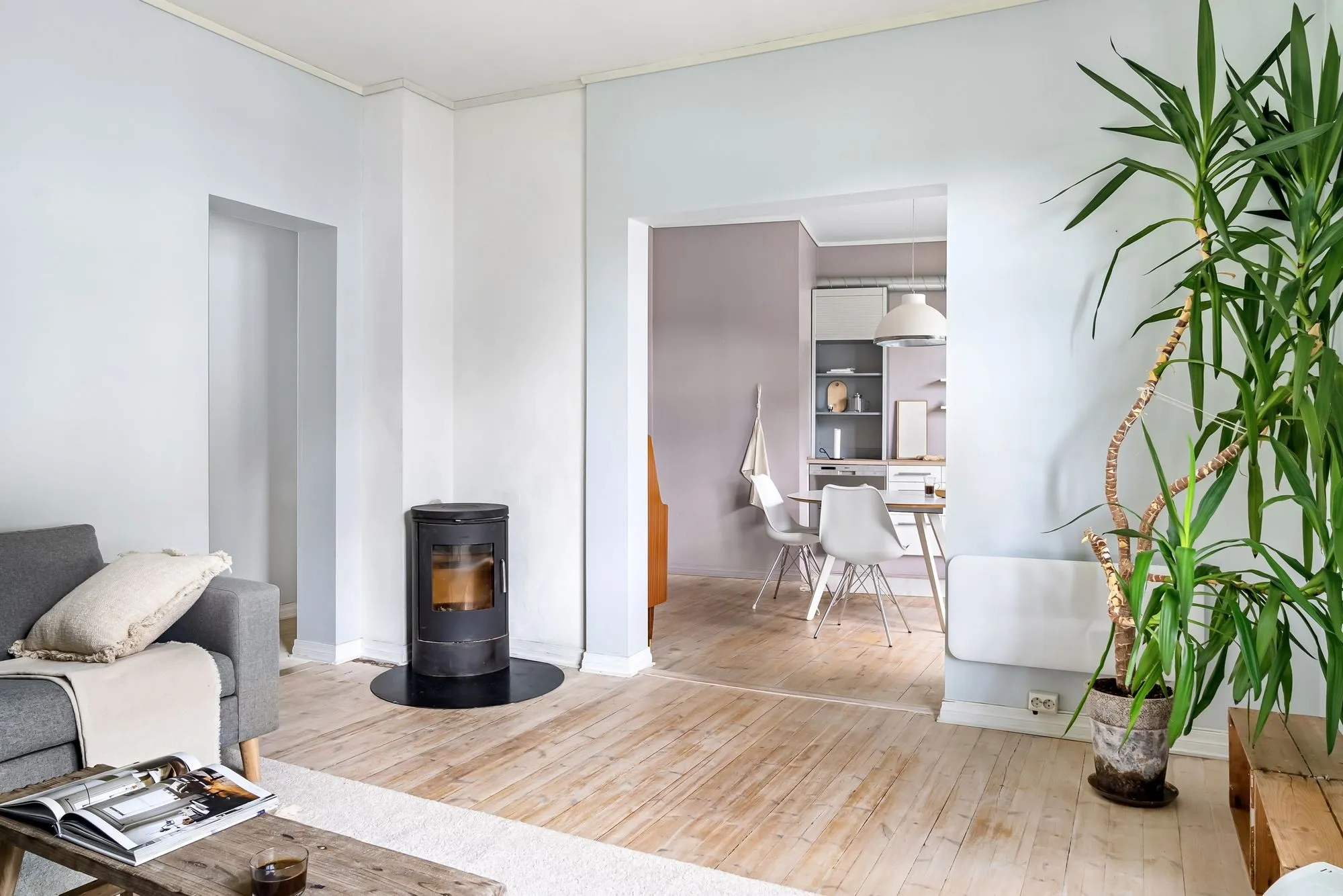 Poêle rond noir posé sur une plaque de sol dans un salon clair, près d'une plante verte
